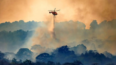 Pictured: A helicopter drops water on a forest fire. Wildfires are made more likely by climate change and have killed hundreds of people and rendered thousands homeless this year.  